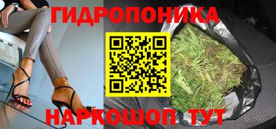 шишки Абакан