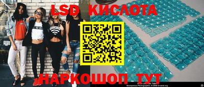 шишки Абакан