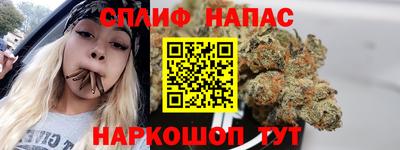 шишки Абакан