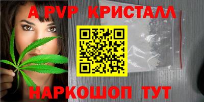 шишки Абакан